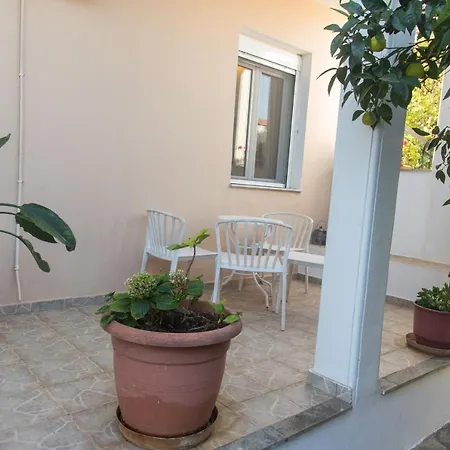 Oak - Garden, Monodri Monodrio