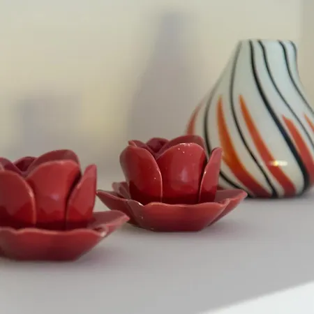 Oak - Garden, Monodri *