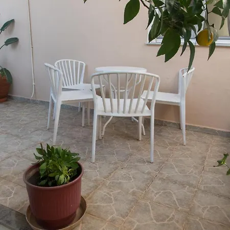 Oak - Garden, Monodri