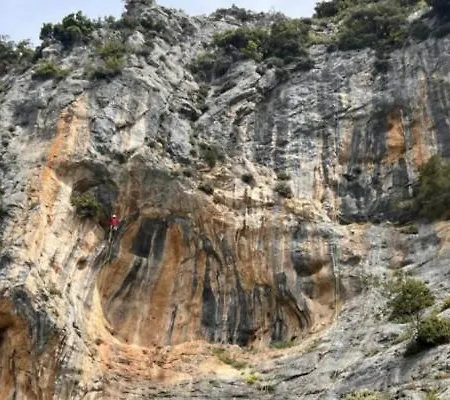 Oak - Garden, Monodri Monodrio